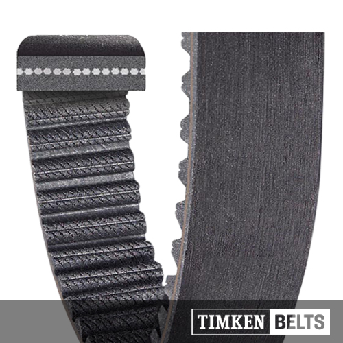 ACHE Belt_3.jpg
