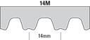 ACHE Belt_Sizes_5.png