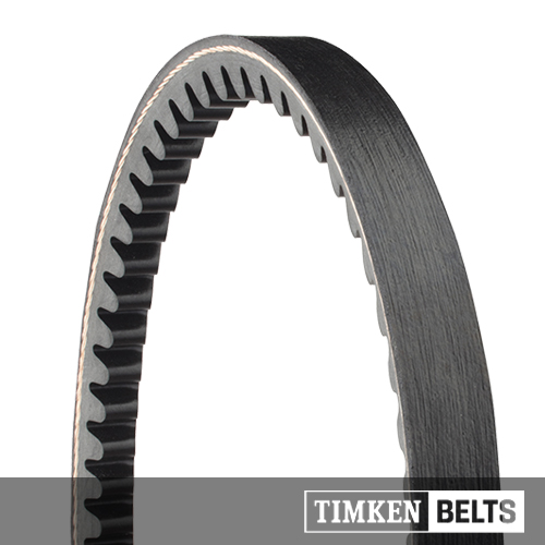 Gold-Ribbon Cog-Belt_2.jpg