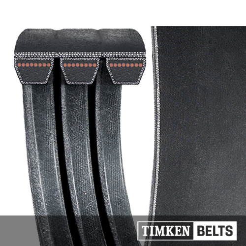Super Blue Ribbon Band_2.jpg