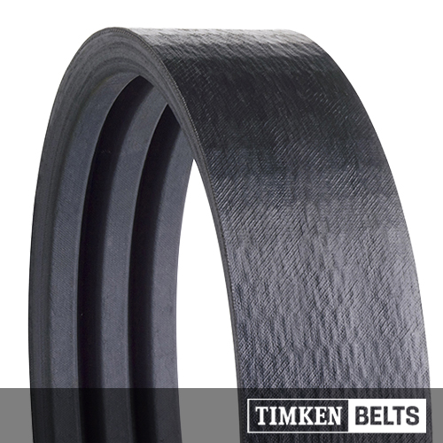 Super Blue Ribbon Band_3.jpg