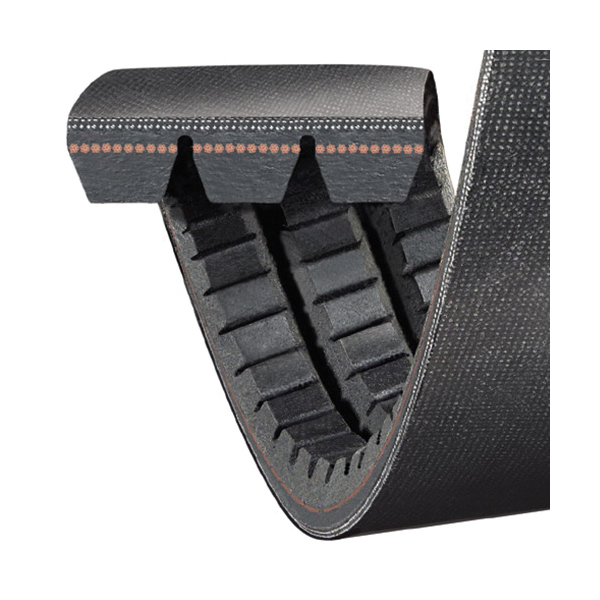 Gold-Ribbon Band Belt_2.jpg