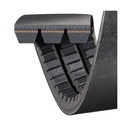 Gold-Ribbon Band Belt_2.jpg