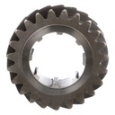 PINION