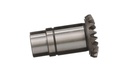 PINION