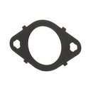 MANIFOLD GASKET