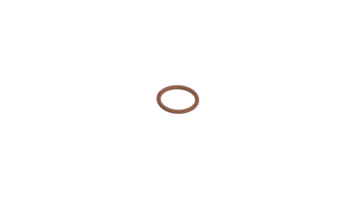 O-RING