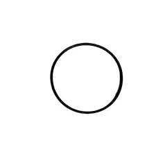 O-RING