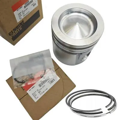 KIT, PISTON & RINGS