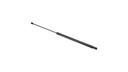 GAS STRUT