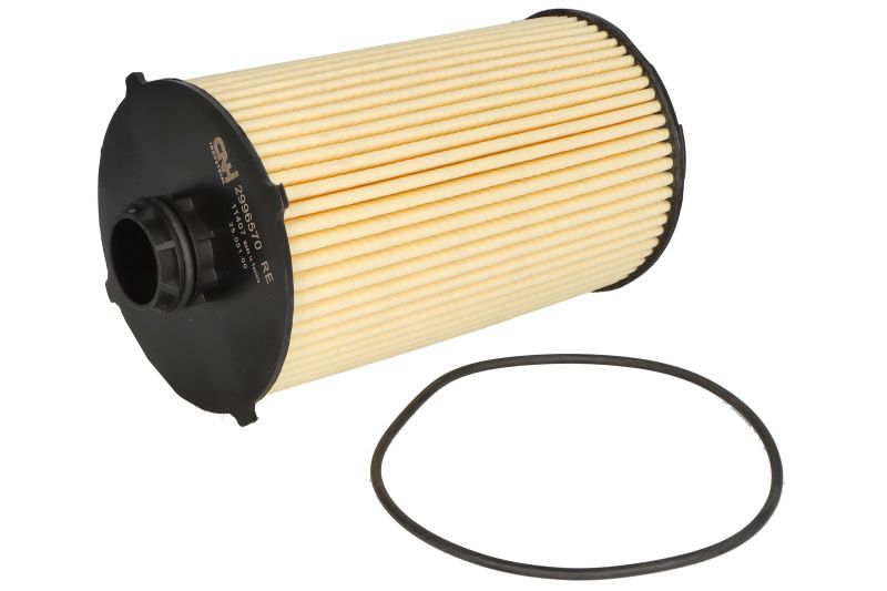 FILTRU ULEI MOTOR