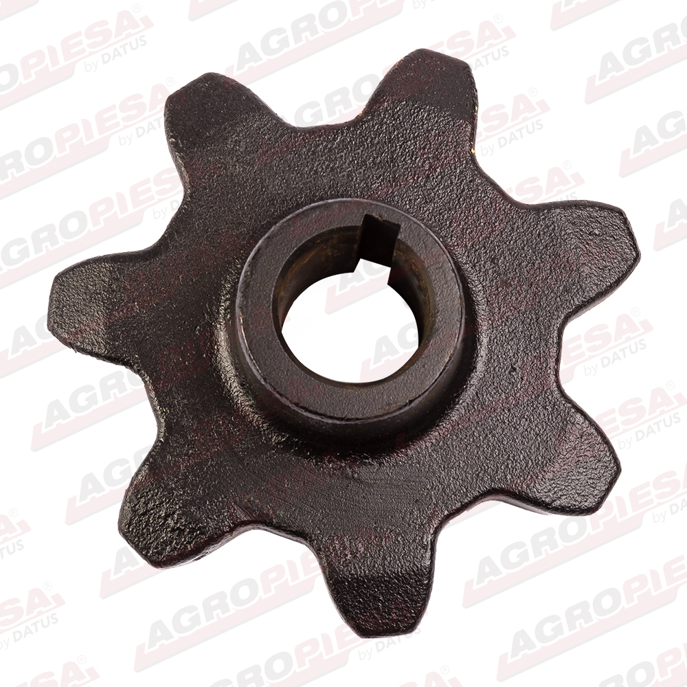 PINION
