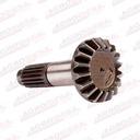 PINION