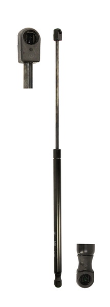 GAS STRUT