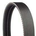 CUREA MULTIPLA GOLD RIBBON COG-BAND