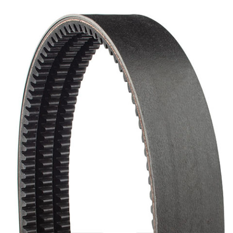 GOLD RIBBON COG-BAND BELT