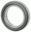 RULMENT