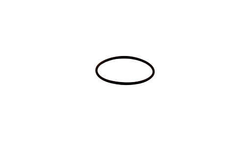 [14454781] ORING