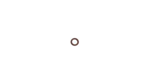 [14456881] ORING