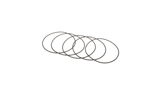 [238-6155.033] ORING