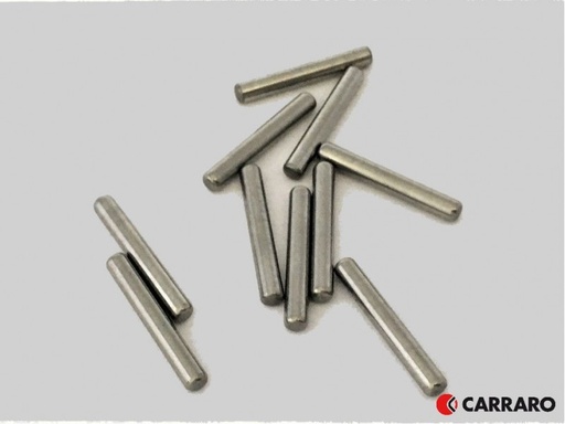 [28294.CARRARO] AC RULMENT