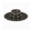 PINION