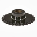 PINION