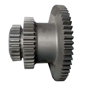 [530699R1.017] PINION
