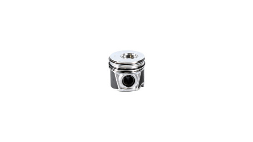 [8094740] PISTON CU SEGMENTI