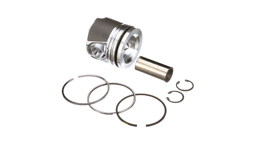 [8094846] PISTON