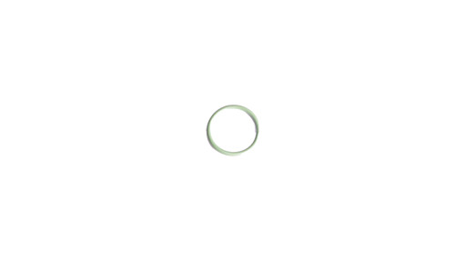 [82000789] ORING