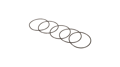 [87016953] ORING