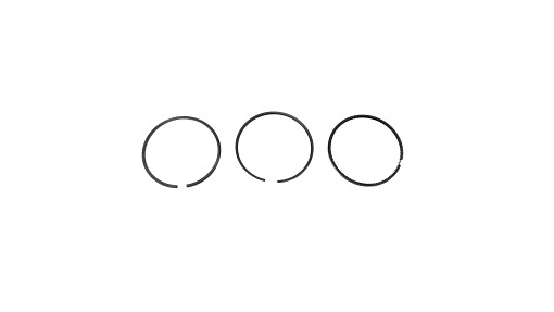 [87802834] SEGMENTI