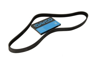 [DAY6PK1069] CUREA