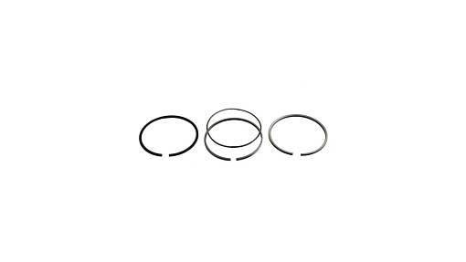 [J802429] SEGMENTI
