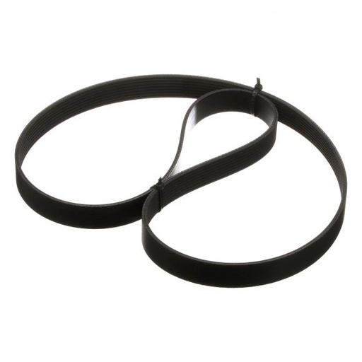 [J911563] BELT