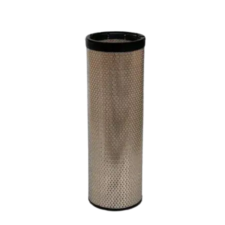 [XA1923] FILTRU AER SECUNDAR
