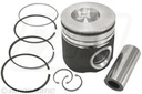 KIT PISTON CU SEGMENTI