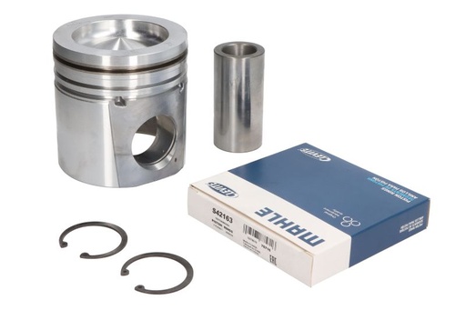 [225-3786] KIT PISTON CU SEGMENTI