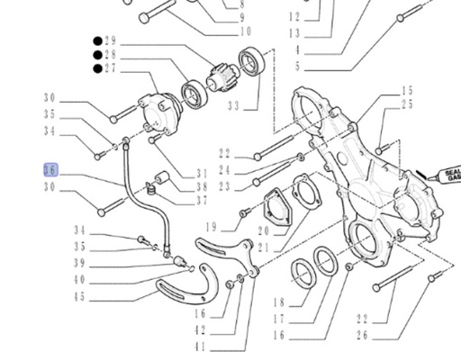 [354122A1] FURTUN