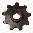 PINION