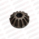 PINION