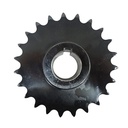 PINION