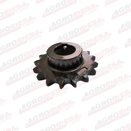 [87731456.025] PINION