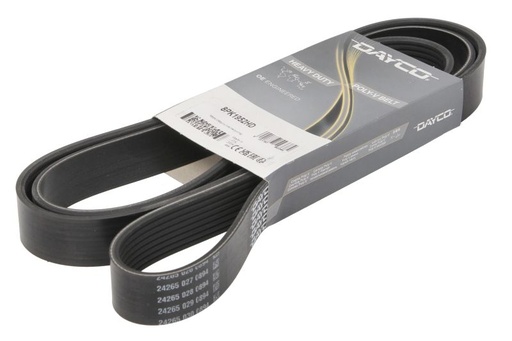 [DAY8PK1952HD] BELT