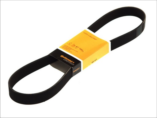 [CONTI-8PK1475] BELT