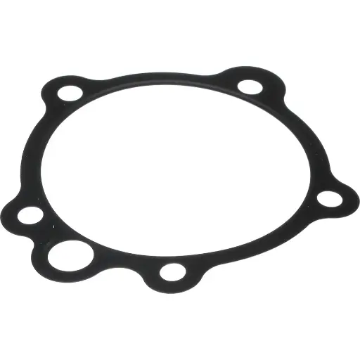 [99448739.008] GASKET