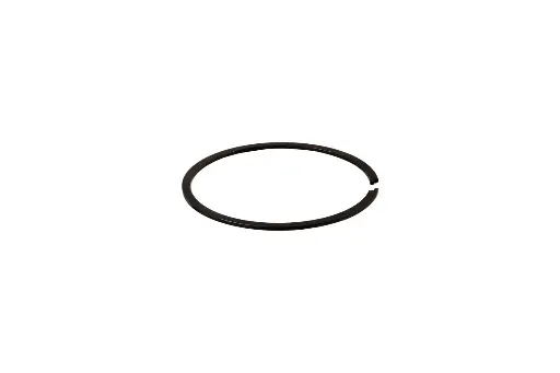 [139987A1] SIGURANTA