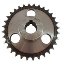 PINION