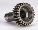 PINION